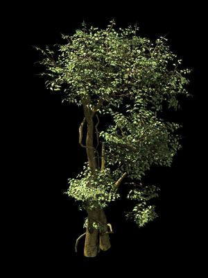 garden-garden-tree-58-3d-model-max