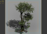 Garden-Garden-Tree 58
