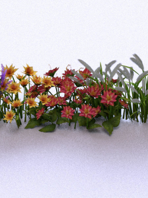 Garden Plant