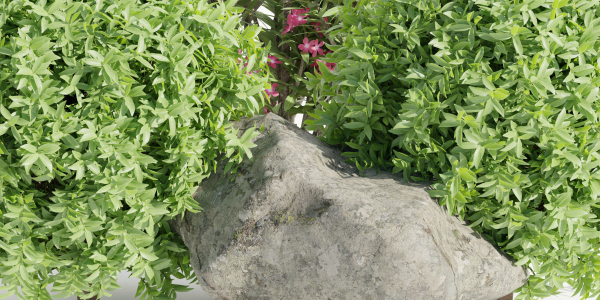 Garden plants collection vol 113-Blender
