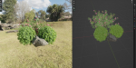 Garden plants collection vol 113-Blender