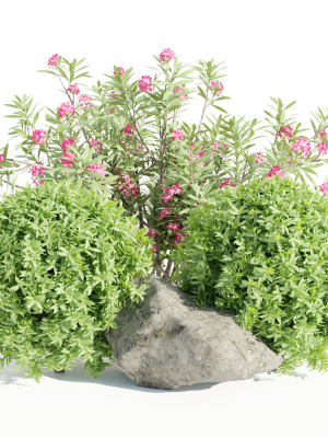 Garden plants collection vol 113-Blender