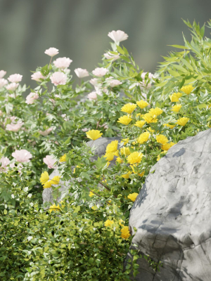 garden-plants-collection-vol-57-blender-3d-model-5d2d927e3a