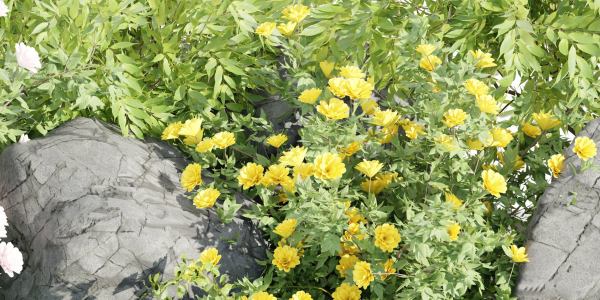 garden plants collection vol 57-Blender
