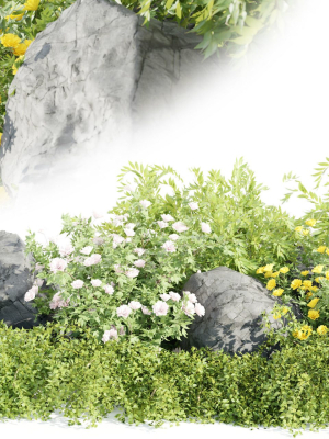 garden plants collection vol 57-Blender