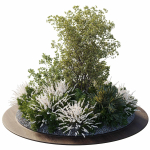 Garden Plants - Outdoor Plants 208