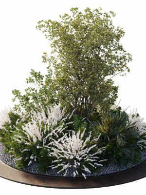 garden-plants-outdoor-plants-208-3d-model-2b416f650c