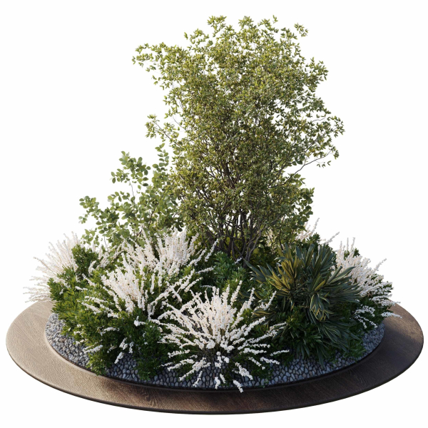 Garden Plants - Outdoor Plants 208