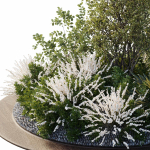 Garden Plants - Outdoor Plants 208