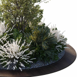Garden Plants - Outdoor Plants 208
