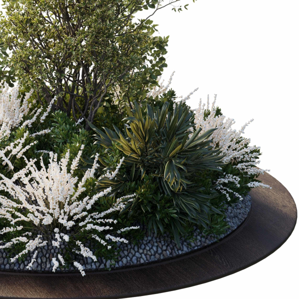 Garden Plants - Outdoor Plants 208