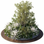 Garden Plants - Outdoor Plants 208