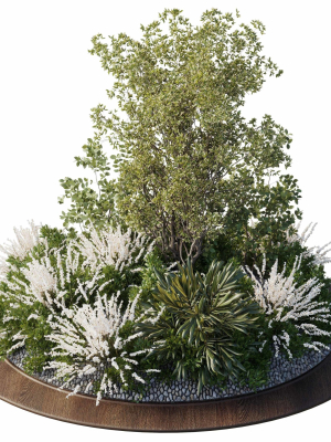 Garden Plants - Outdoor Plants 208
