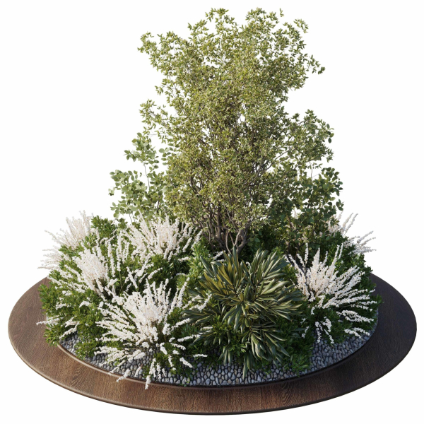 Garden Plants - Outdoor Plants 208