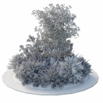 Garden Plants - Outdoor Plants 208
