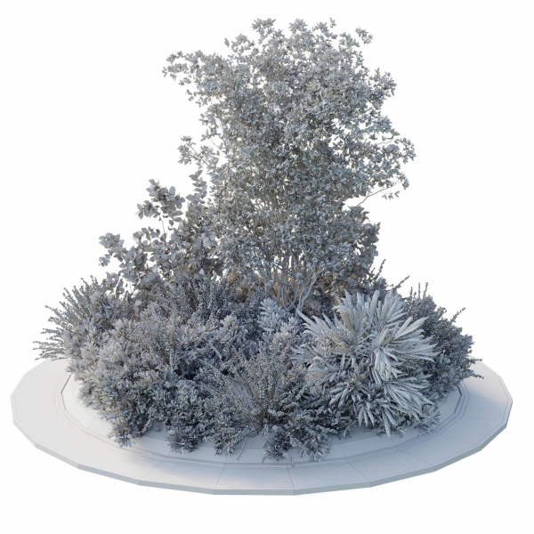 Garden Plants - Outdoor Plants 208
