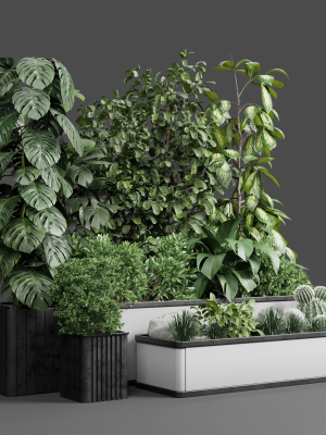 garden-plants-set-concrete-box-plants-on-stand-3d-model-max-obj-fbx