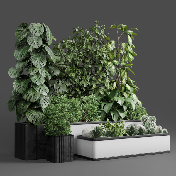 Garden Plants set Concrete box plants on stand