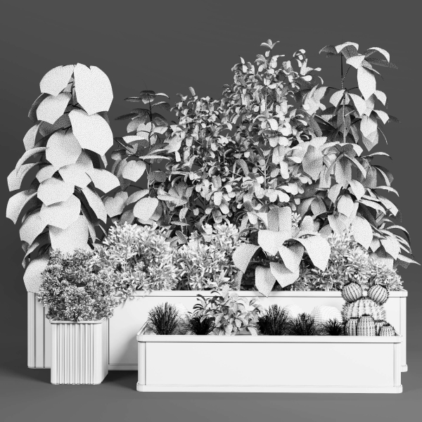 Garden Plants set Concrete box plants on stand