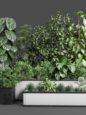 Garden Plants set Concrete box plants on stand