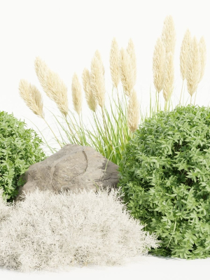 Garden Set Plants collection vol 120-Blender