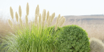 Garden Set Plants collection vol 120-Blender