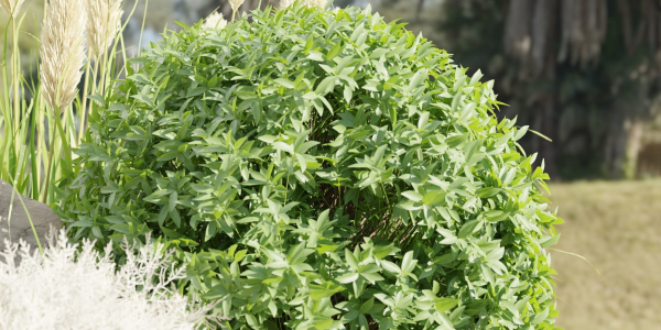 Garden Set Plants collection vol 120-Blender