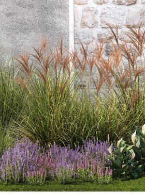 garden-with-lavender-bushes-spathiphyllum-miscanthus-1397-3d-model-05db9dd59d