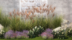 Garden with lavender bushes Spathiphyllum Miscanthus 1397