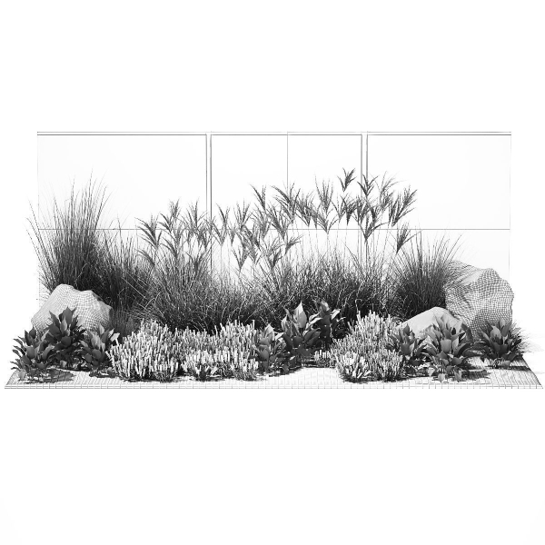 Garden with lavender bushes Spathiphyllum Miscanthus 1397