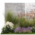 Garden with lavender bushes Spathiphyllum Miscanthus 1397