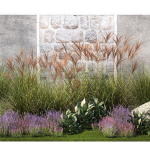 Garden with lavender bushes Spathiphyllum Miscanthus 1397
