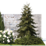 Garden with thuja cypress pine and Hydrangea white bushes 1379