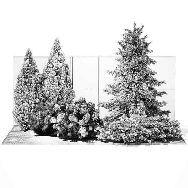 Garden with thuja cypress pine and Hydrangea white bushes 1379