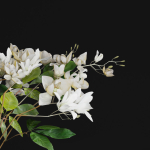 Gardenia Flower Bouquet Vase decor set