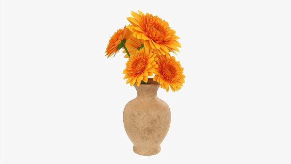 Gerbera in vase v1