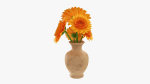 Gerbera in vase v1