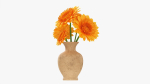 Gerbera in vase v1
