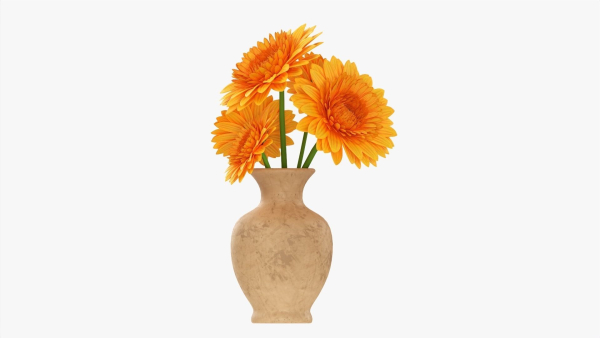 Gerbera in vase v1