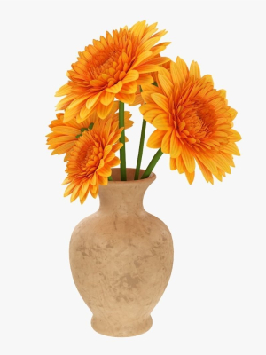 Gerbera in vase v1