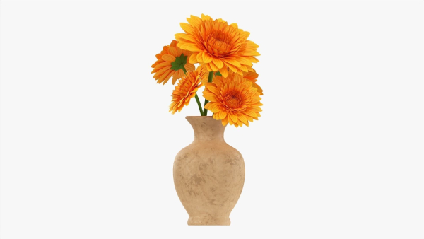 Gerbera in vase v1