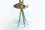 Gerberas in the sphere vase