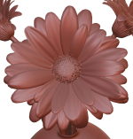 Gerberas in the sphere vase