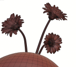 Gerberas in the sphere vase