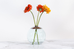 Gerberas in the sphere vase