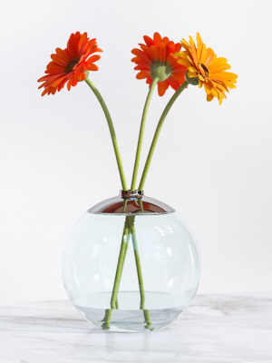 Gerberas in the sphere vase