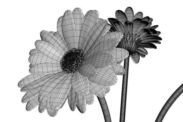 Gerberas in the sphere vase