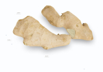 Ginger - Photogrammetry Scan