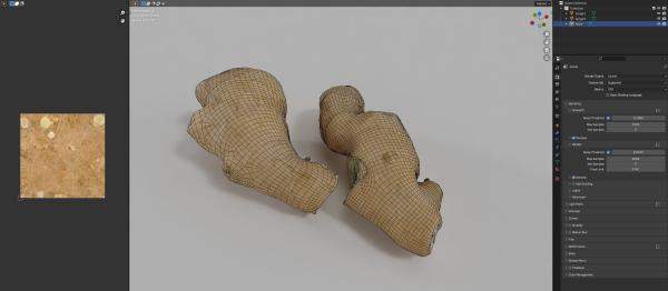 Ginger - Photogrammetry Scan