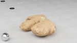 Ginger - Photogrammetry Scan